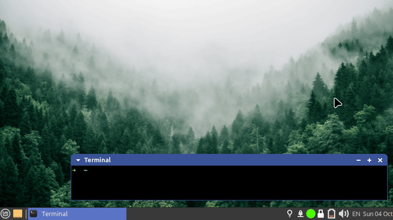 montray_demo.gif