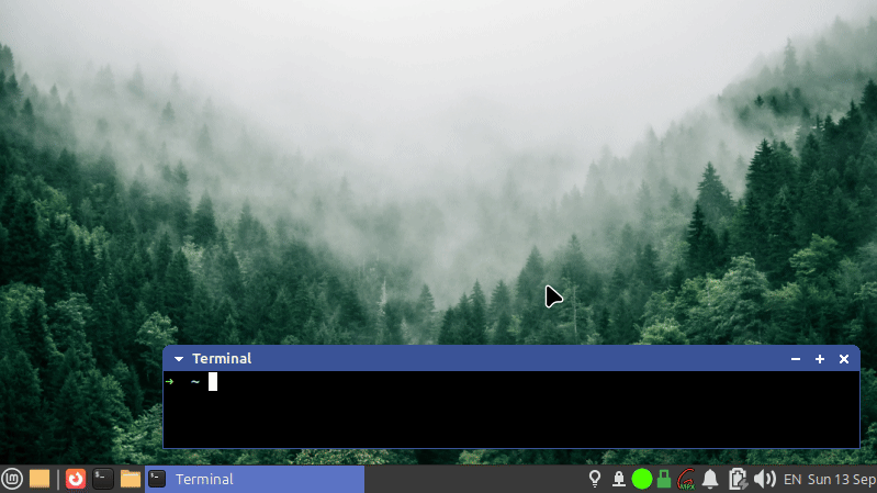 projects:salmon:salmon_rust_demo.gif