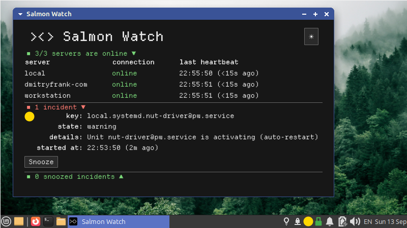 projects:salmon:salmon_rust_screenshot_warn.png